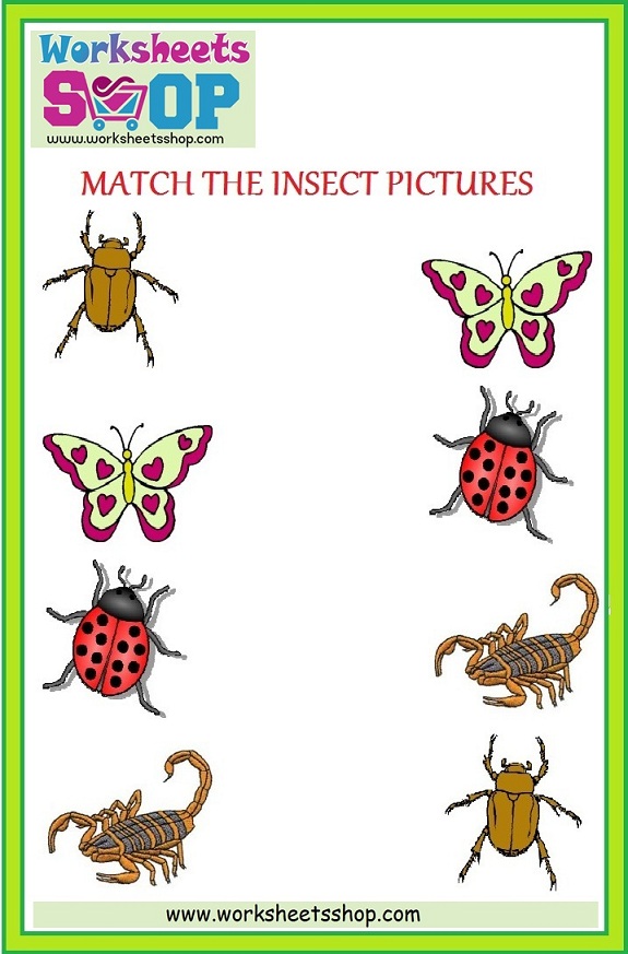 Rich Rusults on Google's SERP when searching for 'Insects picture matching'