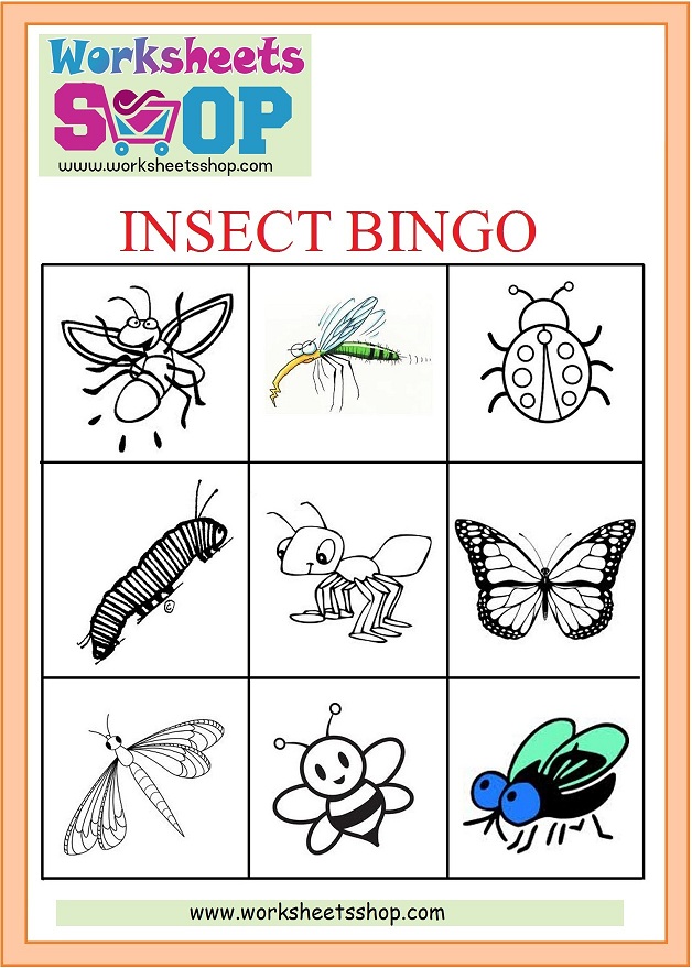 Rich Rusults on Google's SERP when searching for 'insect bingo'